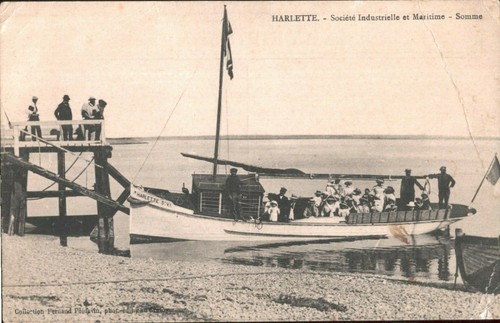 Harlette societe - -,